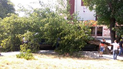 Прикрепленное изображение: 2017-07-26 15-07-23_cr.jpg